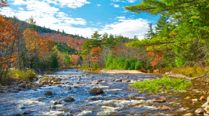 Avon CT