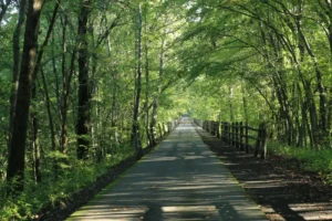Avon Connecticut