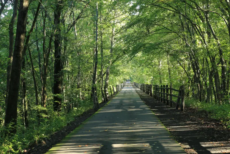 Avon Connecticut